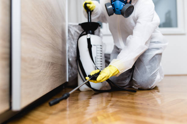 Best Affordable Pest Control Services  in Mesa, AZ
