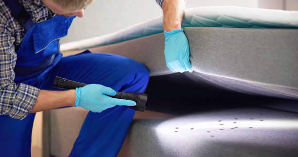 Best Best Pest Control Companies  in Mesa, AZ